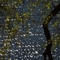 2017-04 Copenhagen/Kastellet/DSC_0293.JPG